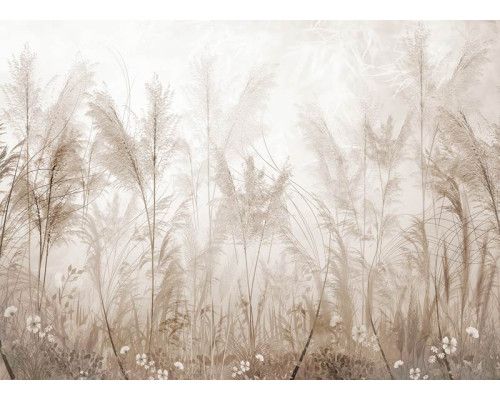 Eine Fototapete, die einen Pampasgrasgarten zeigt, in dem anmutige Federn in warmen Sandtönen ein weiches und natürliches Aussehen verleihen.