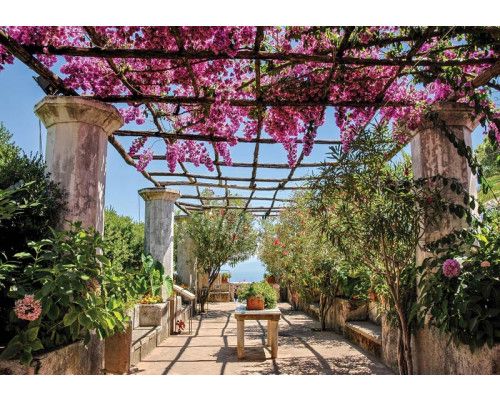 3D-Fototapete eines Blumentunnels unter einer Pergola, mit bunten Blumen und Blättern, die den Raum einrahmen.