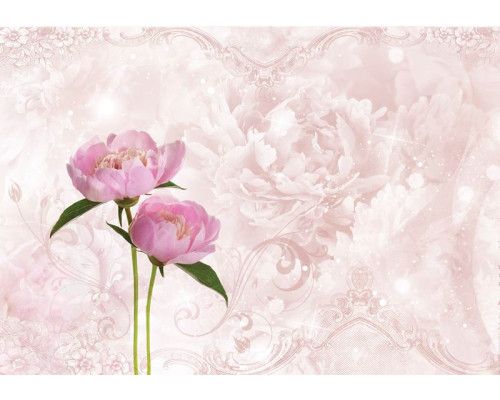 Rosa Pfingstrosen und Rosen in voller Blüte, mit einem abstrakten Hintergrund für einen künstlerischen Touch auf dieser Fototapete.