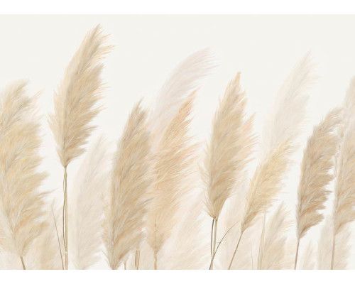 Eine Federn-Fototapete, bei der anmutige Pampasgrasfedern in sanften Erdtönen einen eleganten und beruhigenden Look erzeugen.
