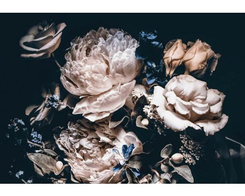 Romantischer Blumenstrauß Fototapete mit Rosen und Pfingstrosen, klassisches Ambiente.