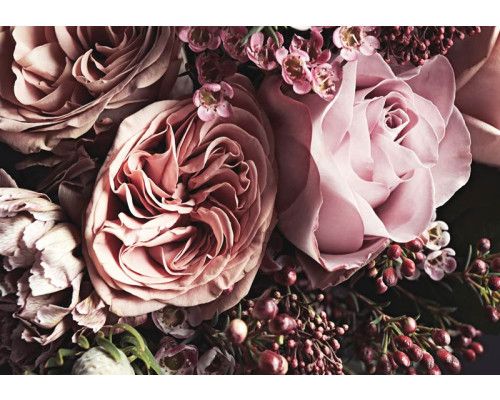 Fototapete von einem rosa Blumenstrauß mit Rosen und Pfingstrosen in leuchtenden Farben.