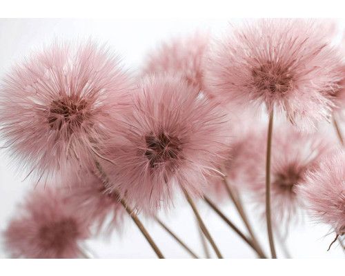 Fotobehang luxe marmer met goud, close-up van witte marmerstructuur met glanzende goudaderen.