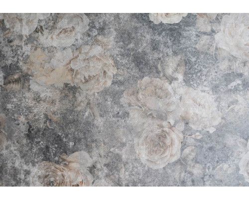 Graue Rosen auf einer Betonwand, eine Fototapete mit einem modernen und minimalistischen Stil.