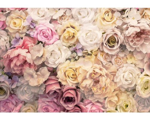 Fototapete mit bunten Rosen und Blumen in verschiedenen Schattierungen, lebendige und verspielte Blumen für einen frischen Look.