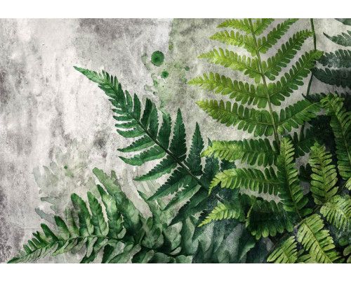 Fototapete Rustikale Farne auf robuster Betonstruktur