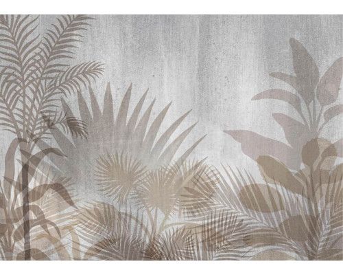 Fototapete Schatten der Pflanzen