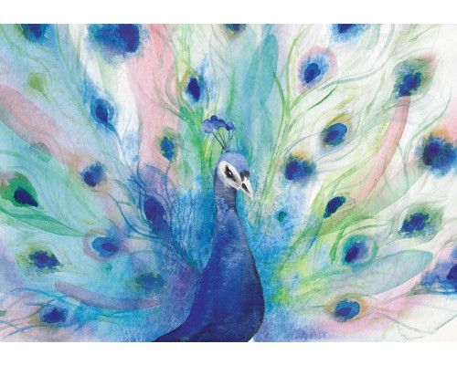 Fototapete mit einem malerischen Pfau mit detaillierten Federn in leuchtenden Farben. Ein elegantes und anspruchsvolles Design.