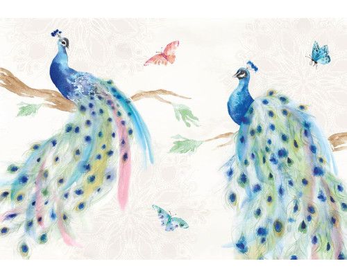 Fototapete mit malerischen Pfauen in leuchtenden Farben und detaillierten Federn. Ein elegantes und anspruchsvolles Design.