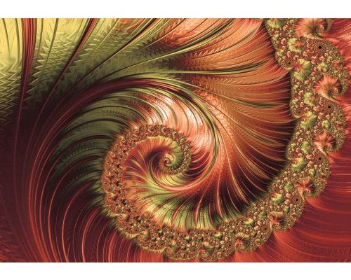 Fototapete mit verschnörkelten roten Federn in einem abstrakten Kunstdesign.