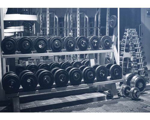 Fitnessstudio-Fototapete mit Gewichten und Hanteln, für einen coolen und motivierenden Look in einem Fitnessstudio.