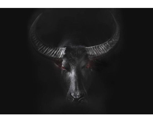 Fototapete eines kräftigen Stiers, dynamisch dargestellt in einer industriellen Umgebung mit starken Kontrasten.