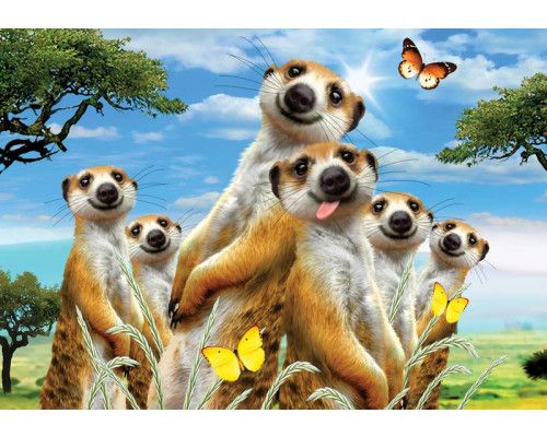 Erdmännchen und Tiere, verrückte Dash of animals Fototapete mit einer lustigen Anzeige für Kinder.