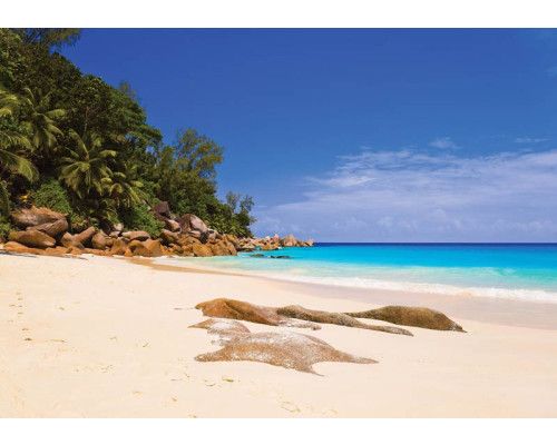 Strand und Meer, Fototapete mit beruhigenden und natürlichen Ansichten des Horizonts.