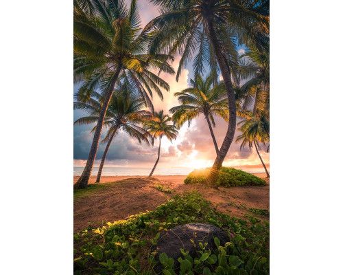 Paradiesische Strandfototapete mit dem hellen Sonnenlicht von Puerto Rico.