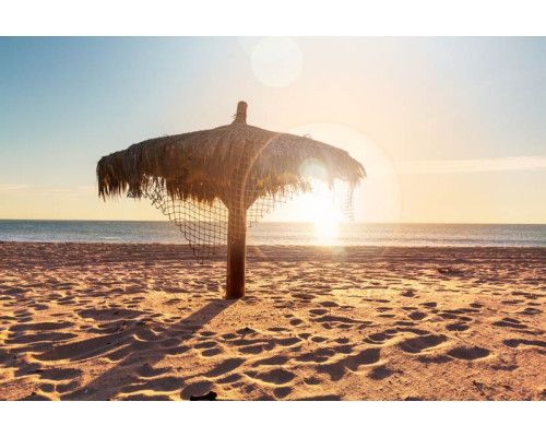 Fototapete von einem tropischen Strand mit einem schönen Sonnenuntergang, wo das Meer und Palmen harmonisch verschmelzen.