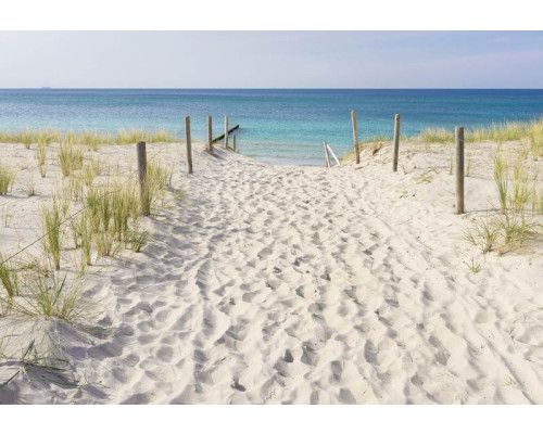 Fototapete von einem Sandweg durch die Dünen mit Blick auf das Meer.