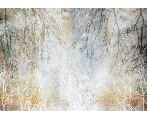 Fototapete mit Baumzweigen, die vor einer Betonwand wachsen und eine einzigartige Mischung aus Natur und Industrie schaffen.