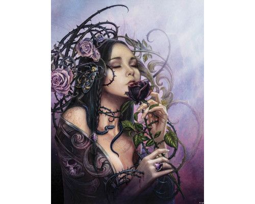 Mitternachtsrose Fototapete mit einer Frau und Rose, Alchemie Thema.