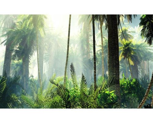 Fototapete eines tropischen Waldes mit Palmen, umgeben von dichtem Dschungel und lebendiger Natur.