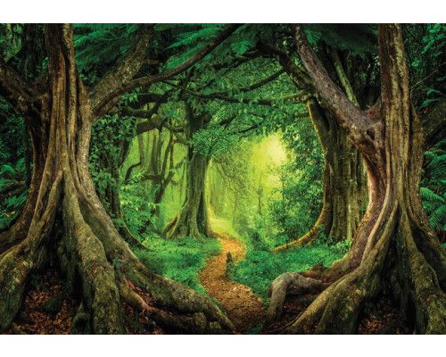 Tropische Regenwald-Fototapete für Kinderzimmer, magisch und farbenfroh.