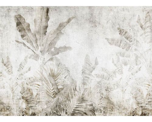 Fototapete mit einem kontrastreichen Bild von tropischen Blättern vor einem Betonhintergrund, perfekt für einen modernen und natürlichen Look.