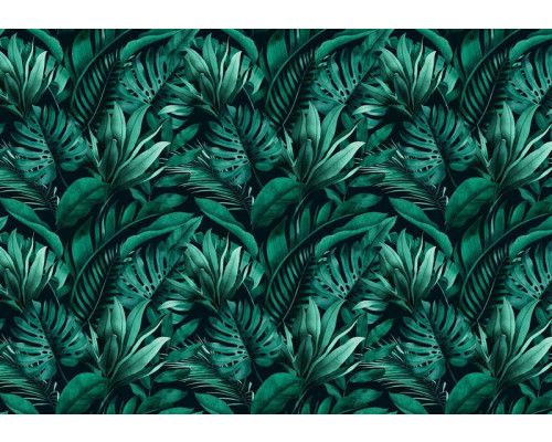 Tropische Dschungelblätter auf einer botanischen Fototapete, die eine frische und üppige Atmosphäre schafft.