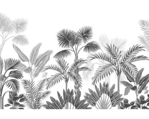 Fototapete Tropische Pflanzen im Dschungel