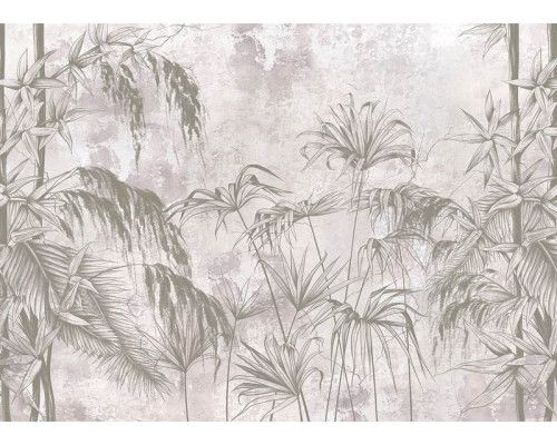 Fototapete Tropical Plants gegen Betonwand