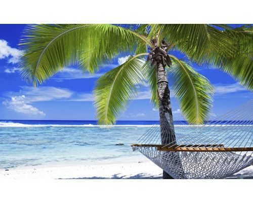 Fototapete mit einer Palme an einem sonnigen Strand, komplett mit Hängematte und klarem blauen Himmel, perfekt für einen tropischen Look.