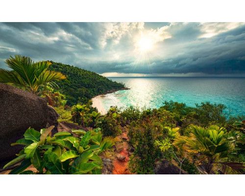 Garten der Verführung - Fototapete mit einem bezaubernden Sonnenuntergang.