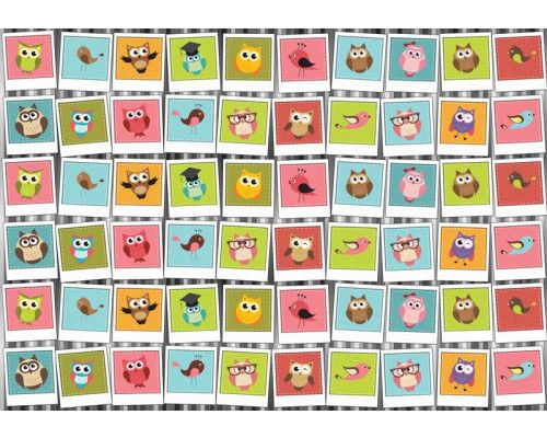 Fototapete mit einer Collage aus Eulen und Vögeln, speziell für Kinderzimmer.