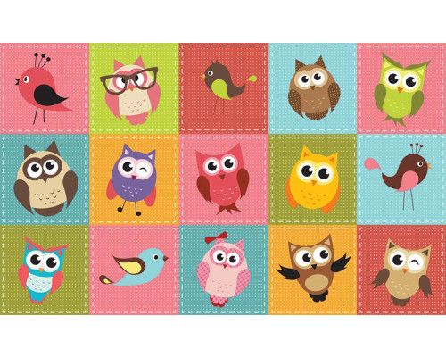 Eulen und Vögel, fröhliche Fototapete für Kinderzimmer mit einer verspielten Darstellung von Tieren.