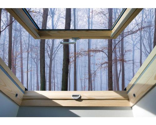 Fototapete mit einer Fensteransicht von Bäumen in einem Wald, natürlich beleuchtete Umgebung.