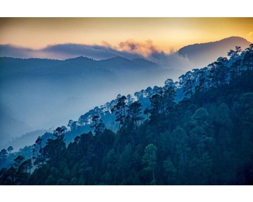 Fototapete mit einer weitläufigen Aussicht auf eine Bergkette, mit Bergen, die von dichten Wäldern umgeben sind.