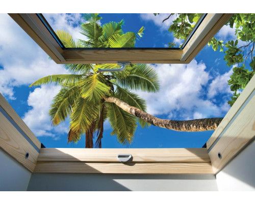 Fototapete mit Blick auf Palmen durch ein Oberlicht, mit subtilen 3D-Effekten.