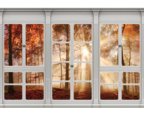 Fototapete eines Herbstwaldes, gesehen durch ein Fenster, mit Sonnenstrahlen und 3D-Effekt.