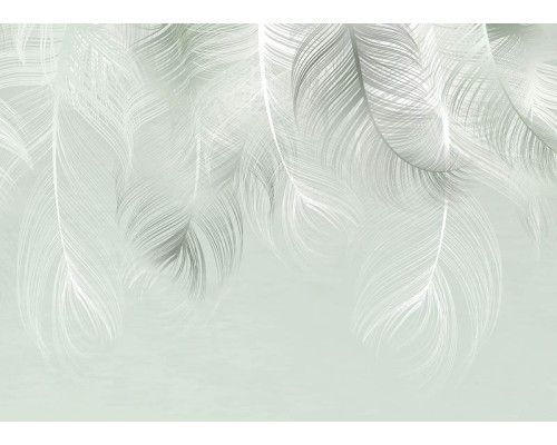 Fototapete Federn Traum