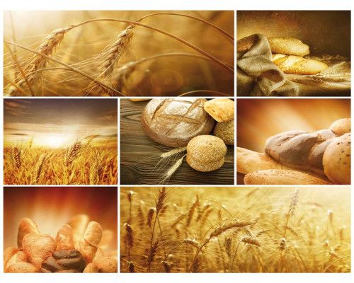 Fototapete mit frisch gebackenem Brot und Getreide, rustikales und stimmungsvolles Bäckereimotiv.