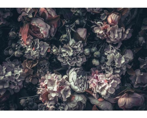 Vintage-Fototapete mit Blumenmuster für einen klassischen und zeitlosen Look.