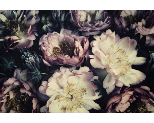 Fototapete von schönen Vintage-Pfingstrosen und Blumen, elegant gerendert.