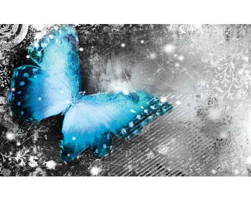 Fototapete eines Schmetterlings, mit magischen und künstlerischen Elementen im Malstil.