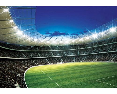 Ein Fußballstadion mit fußballspielenden Kindern ist auf dieser Fototapete zu sehen.