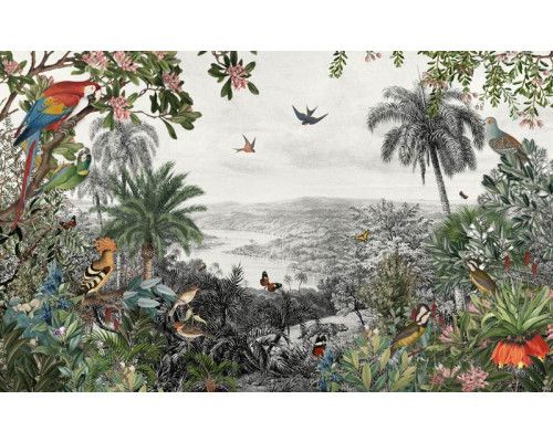 Fototapete mit Vögeln und Schmetterlingen in einem üppigen Dschungel, umgeben von Dschungel- und Regenwaldpflanzen.