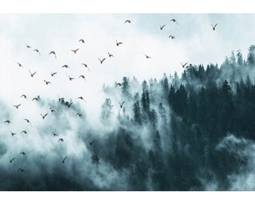 Fototapete von Vögeln im Nebel mit einem Wald und Bäumen im Hintergrund.