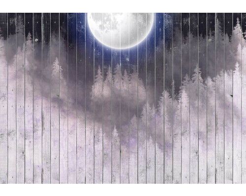 Fototapete eines Vollmondes über einem Wald mit Bäumen, aufgenommen vor einem hölzernen Hintergrund.