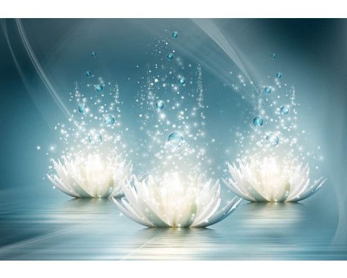 Seerosen, kunstvoll gerendert auf einer abstrakten Fototapete, die Natur und Blumen zeigt.