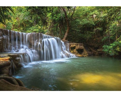 Wasserfall im Wald, ein Dschungelthema auf Fototapete.