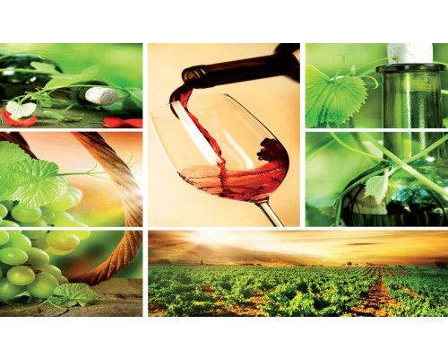 Fototapete mit roten Trauben und Weinflaschen in einem französischen Weinberg, stimmungsvolle Ansicht.