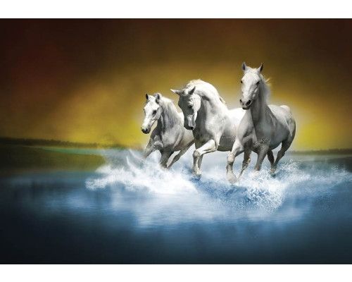 Fototapete von weißen Pferden, die im Wasser galoppieren, mit einem dynamischen und kraftvollen Look.